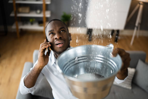 Best Residential water damage restoration  in Algona, WA