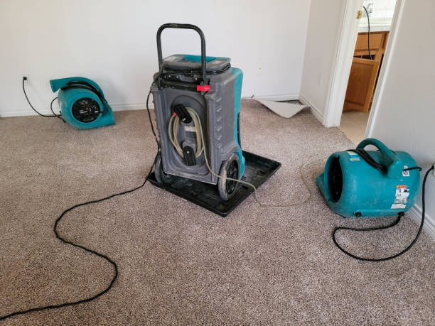 Best Mold removal after water damage  in Algona, WA