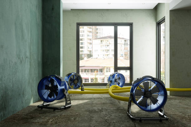Best Fire Damage Restoration  in Algona, WA